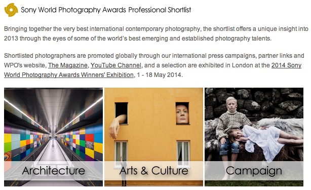 2014 Sony World Photography Awards
