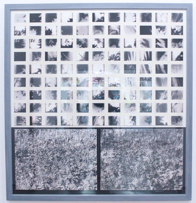 Snow, Michael, "Field", 1973-74, 101 black and white photographs, mounted on cardboard, painted wood frame, 70 1/2 x 66 3/4 inches